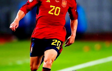 Baowei Sports-欧预赛是什么级别比赛